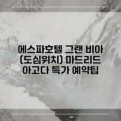 에스파호텔 그랜 비아 (도심위치) 마드리드 아고다 특가 예약팁