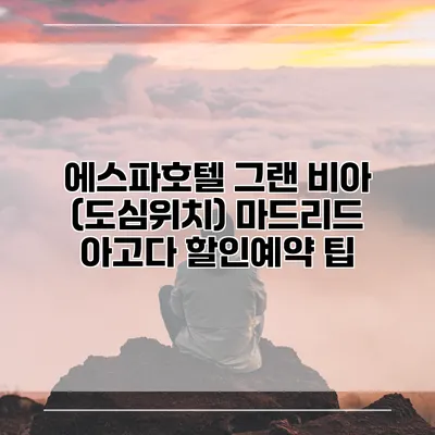 에스파호텔 그랜 비아 (도심위치) 마드리드 아고다 할인예약 팁