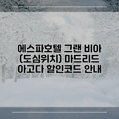 에스파호텔 그랜 비아 (도심위치) 마드리드 아고다 할인코드 안내