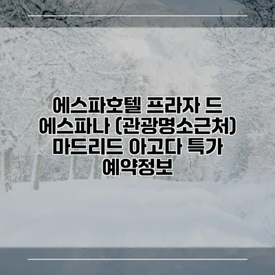 에스파호텔 프라자 드 에스파나 (관광명소근처) 마드리드 아고다 특가 예약정보