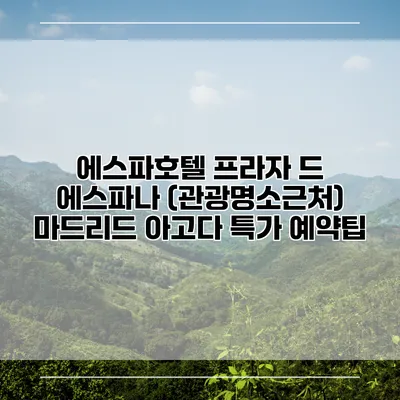 에스파호텔 프라자 드 에스파나 (관광명소근처) 마드리드 아고다 특가 예약팁