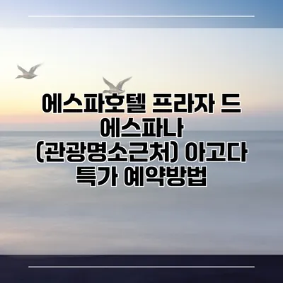 에스파호텔 프라자 드 에스파나 (관광명소근처) 아고다 특가 예약방법