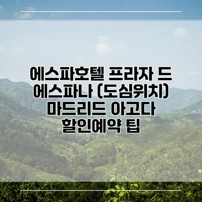 에스파호텔 프라자 드 에스파나 (도심위치) 마드리드 아고다 할인예약 팁