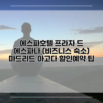 에스파호텔 프라자 드 에스파나 (비즈니스 숙소) 마드리드 아고다 할인예약 팁