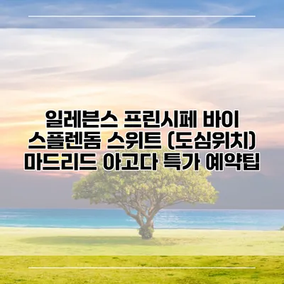 일레븐스 프린시페 바이 스플렌돔 스위트 (도심위치) 마드리드 아고다 특가 예약팁