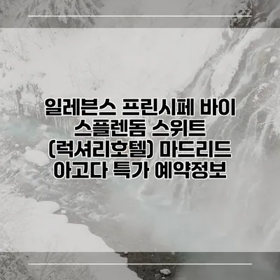 일레븐스 프린시페 바이 스플렌돔 스위트 (럭셔리호텔) 마드리드 아고다 특가 예약정보