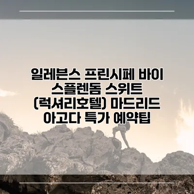 일레븐스 프린시페 바이 스플렌돔 스위트 (럭셔리호텔) 마드리드 아고다 특가 예약팁