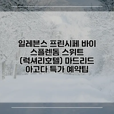 일레븐스 프린시페 바이 스플렌돔 스위트 (럭셔리호텔) 마드리드 아고다 특가 예약팁