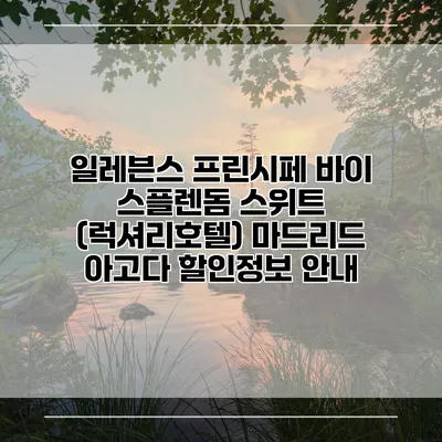 일레븐스 프린시페 바이 스플렌돔 스위트 (럭셔리호텔) 마드리드 아고다 할인정보 안내