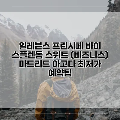 일레븐스 프린시페 바이 스플렌돔 스위트 (비즈니스) 마드리드 아고다 최저가 예약팁