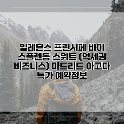 일레븐스 프린시페 바이 스플렌돔 스위트 (역세권 비즈니스) 마드리드 아고다 특가 예약정보