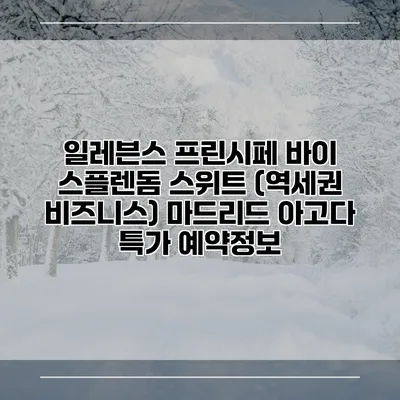 일레븐스 프린시페 바이 스플렌돔 스위트 (역세권 비즈니스) 마드리드 아고다 특가 예약정보