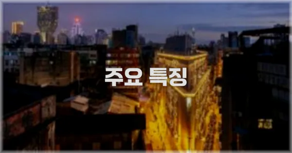 ✨ 주요 특징