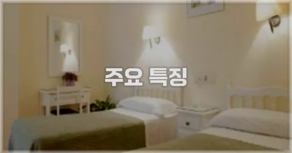 ✨ 주요 특징