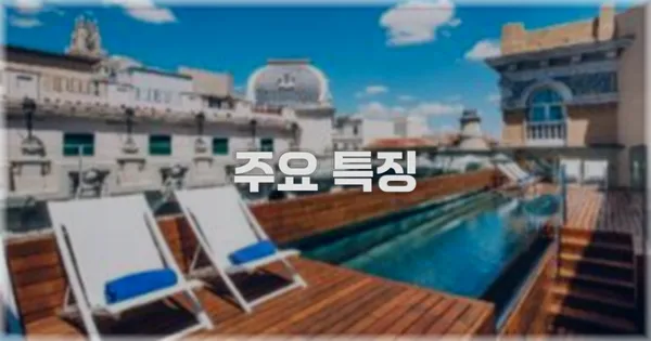 ✨ 주요 특징