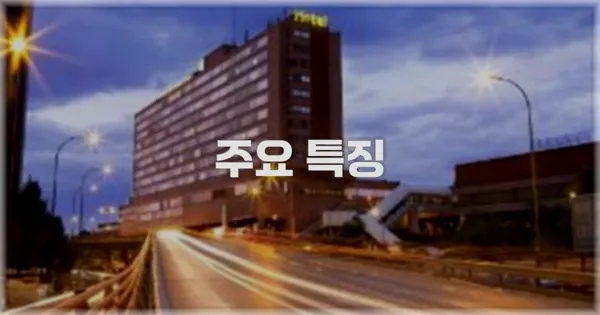 ✨ 주요 특징