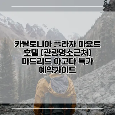 카탈로니아 플라자 마요르 호텔 (관광명소근처) 마드리드 아고다 특가 예약가이드