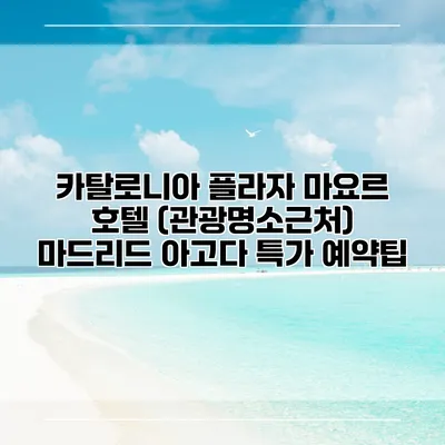 카탈로니아 플라자 마요르 호텔 (관광명소근처) 마드리드 아고다 특가 예약팁