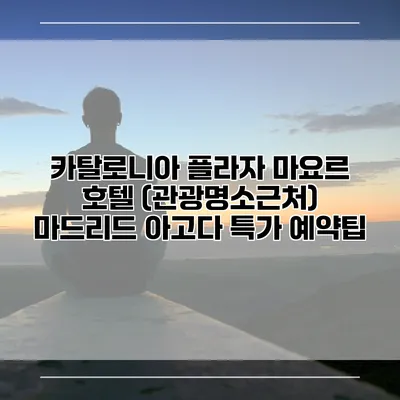 카탈로니아 플라자 마요르 호텔 (관광명소근처) 마드리드 아고다 특가 예약팁