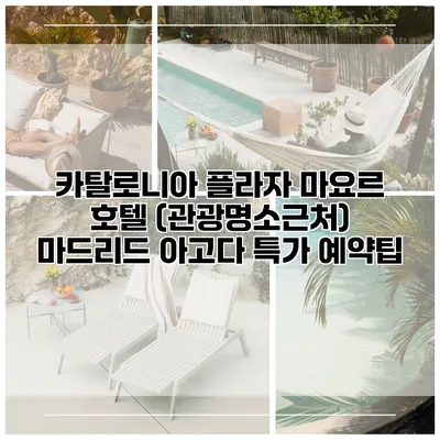 카탈로니아 플라자 마요르 호텔 (관광명소근처) 마드리드 아고다 특가 예약팁