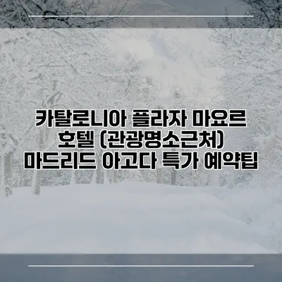 카탈로니아 플라자 마요르 호텔 (관광명소근처) 마드리드 아고다 특가 예약팁