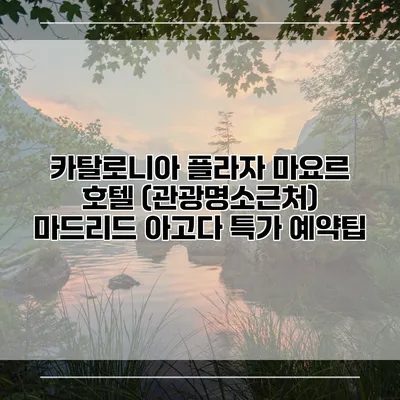 카탈로니아 플라자 마요르 호텔 (관광명소근처) 마드리드 아고다 특가 예약팁