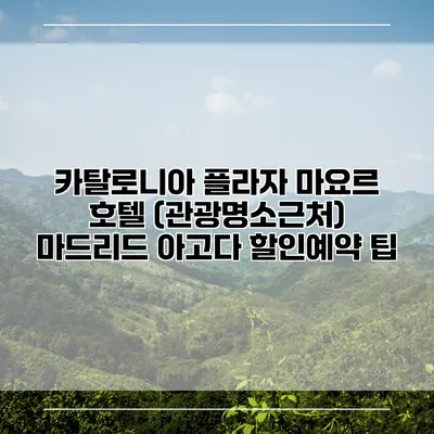 카탈로니아 플라자 마요르 호텔 (관광명소근처) 마드리드 아고다 할인예약 팁