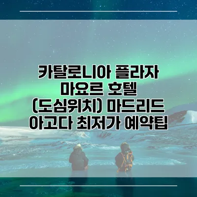 카탈로니아 플라자 마요르 호텔 (도심위치) 마드리드 아고다 최저가 예약팁
