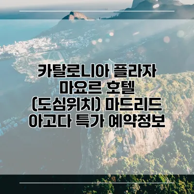 카탈로니아 플라자 마요르 호텔 (도심위치) 마드리드 아고다 특가 예약정보