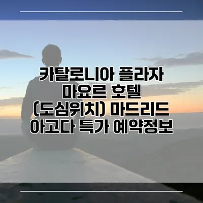 카탈로니아 플라자 마요르 호텔 (도심위치) 마드리드 아고다 특가 예약정보