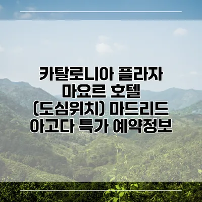 카탈로니아 플라자 마요르 호텔 (도심위치) 마드리드 아고다 특가 예약정보