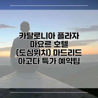 카탈로니아 플라자 마요르 호텔 (도심위치) 마드리드 아고다 특가 예약팁