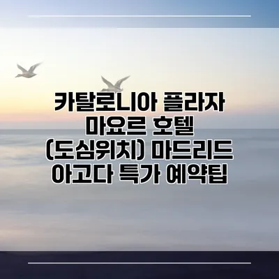 카탈로니아 플라자 마요르 호텔 (도심위치) 마드리드 아고다 특가 예약팁