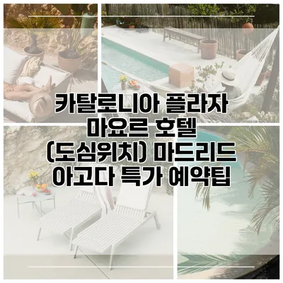 카탈로니아 플라자 마요르 호텔 (도심위치) 마드리드 아고다 특가 예약팁