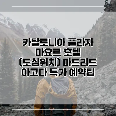 카탈로니아 플라자 마요르 호텔 (도심위치) 마드리드 아고다 특가 예약팁