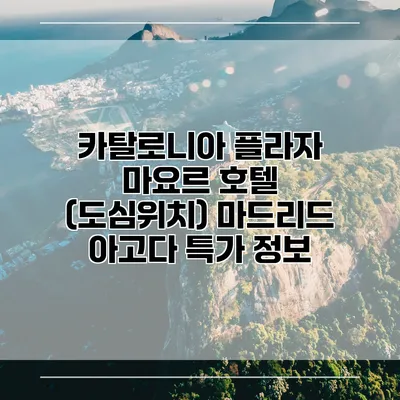 카탈로니아 플라자 마요르 호텔 (도심위치) 마드리드 아고다 특가 정보