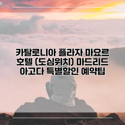 카탈로니아 플라자 마요르 호텔 (도심위치) 마드리드 아고다 특별할인 예약팁