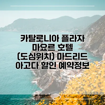 카탈로니아 플라자 마요르 호텔 (도심위치) 마드리드 아고다 할인 예약정보