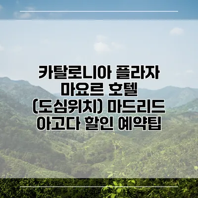 카탈로니아 플라자 마요르 호텔 (도심위치) 마드리드 아고다 할인 예약팁