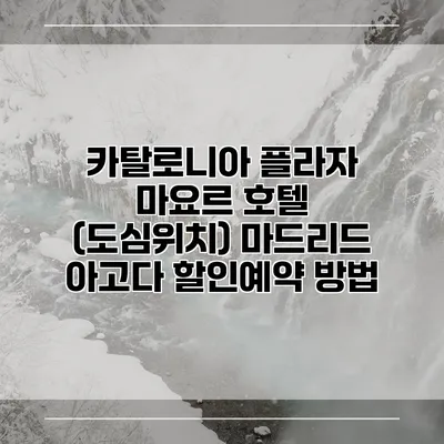 카탈로니아 플라자 마요르 호텔 (도심위치) 마드리드 아고다 할인예약 방법