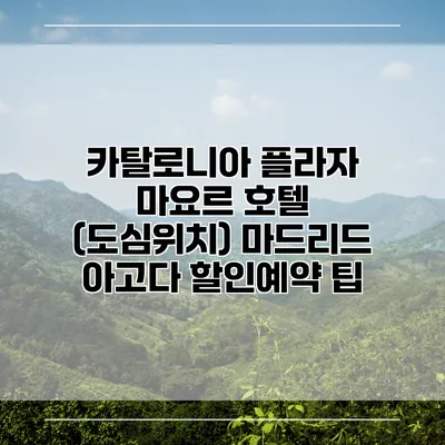 카탈로니아 플라자 마요르 호텔 (도심위치) 마드리드 아고다 할인예약 팁