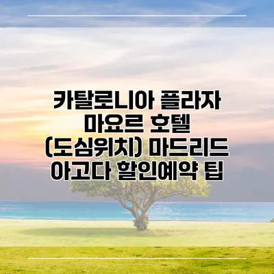 카탈로니아 플라자 마요르 호텔 (도심위치) 마드리드 아고다 할인예약 팁