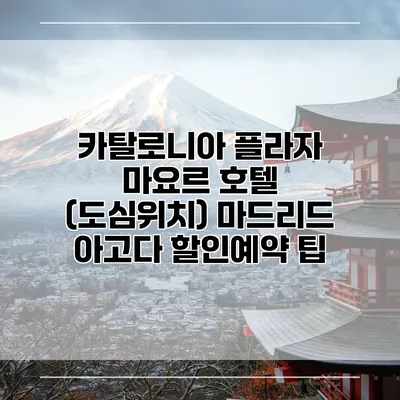 카탈로니아 플라자 마요르 호텔 (도심위치) 마드리드 아고다 할인예약 팁