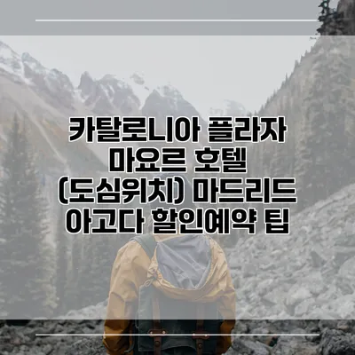 카탈로니아 플라자 마요르 호텔 (도심위치) 마드리드 아고다 할인예약 팁