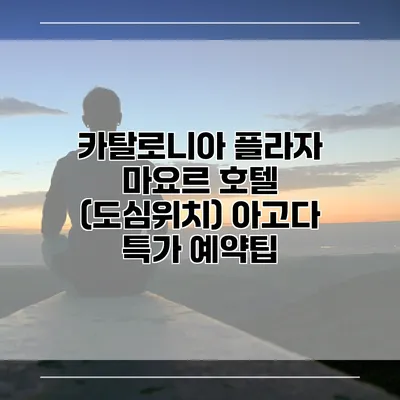 카탈로니아 플라자 마요르 호텔 (도심위치) 아고다 특가 예약팁