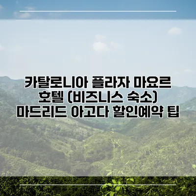 카탈로니아 플라자 마요르 호텔 (비즈니스 숙소) 마드리드 아고다 할인예약 팁