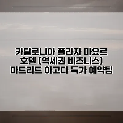 카탈로니아 플라자 마요르 호텔 (역세권 비즈니스) 마드리드 아고다 특가 예약팁