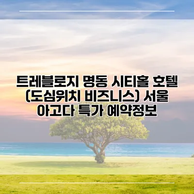 트레블로지 명동 시티홀 호텔 (도심위치 비즈니스) 서울 아고다 특가 예약정보