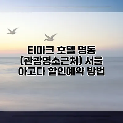 티마크 호텔 명동 (관광명소근처) 서울 아고다 할인예약 방법