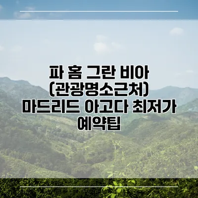 파 홈 그란 비아 (관광명소근처) 마드리드 아고다 최저가 예약팁
